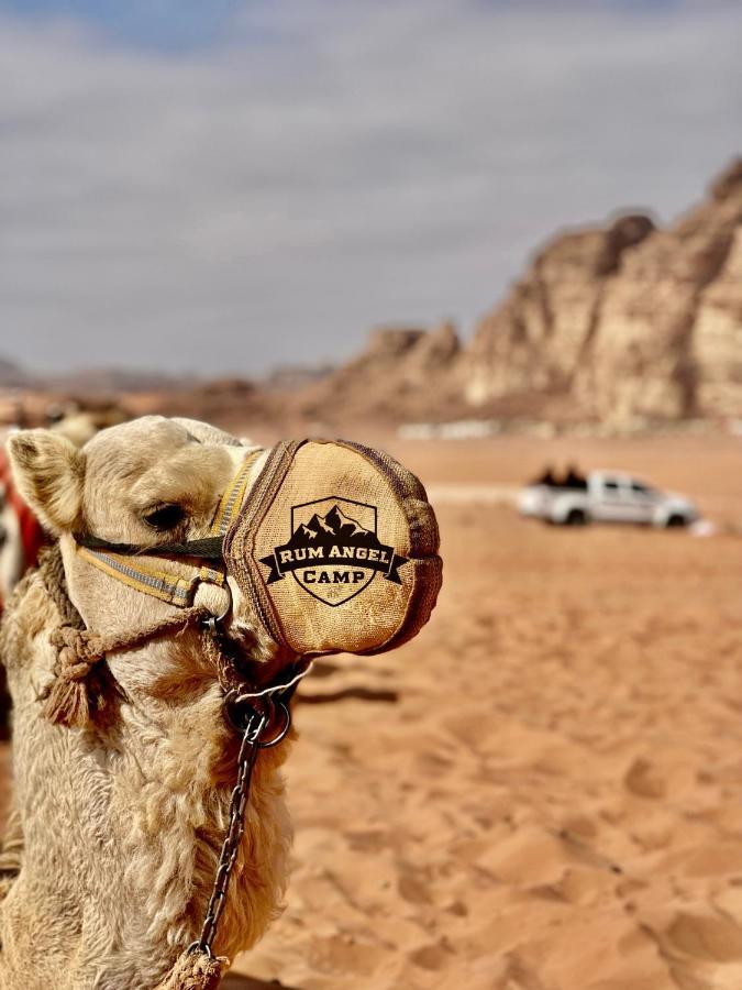 Rum Angel Camp Wadi Rum Exterior photo
